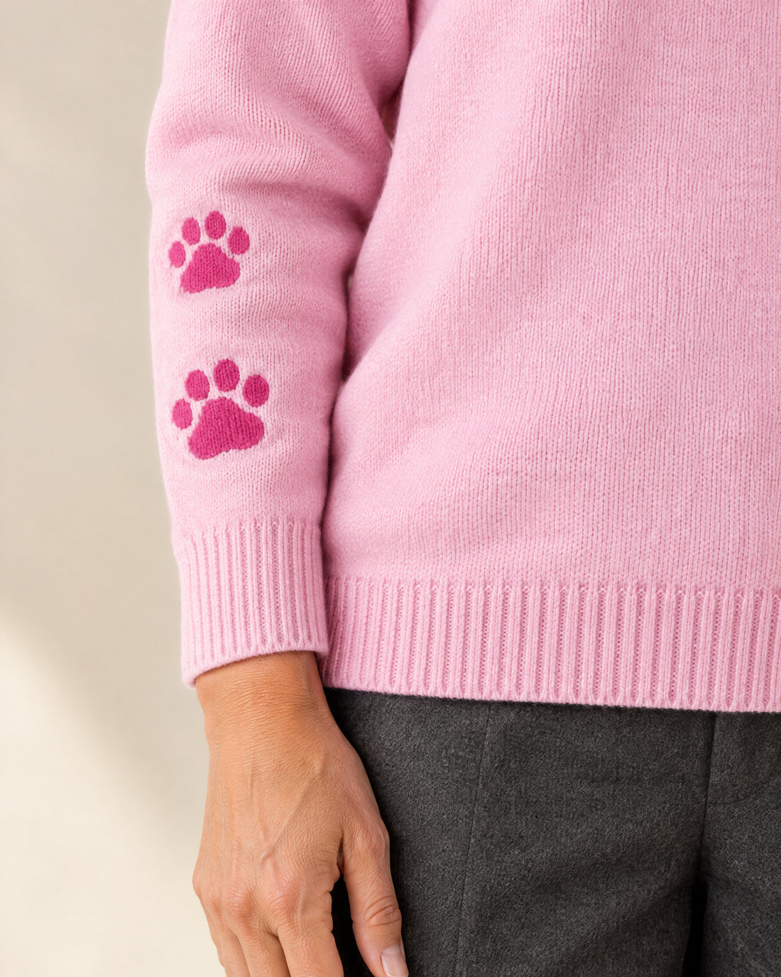 Dachshund Motif Jumper