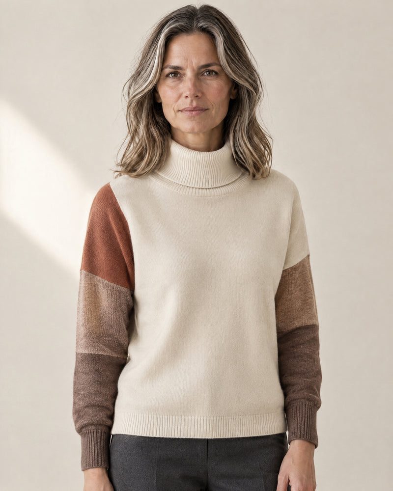 Colour-Block Sleeve Roll Neck Jumper